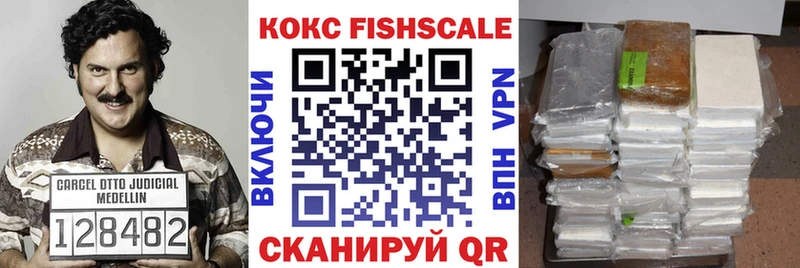 Cocaine FishScale  продажа наркотиков  Череповец 