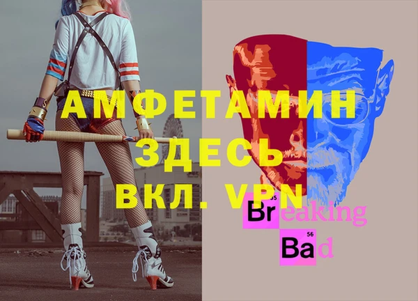 амф Тавда