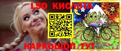 гидра Камышлов