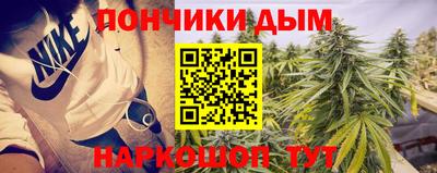 гидра Камышлов