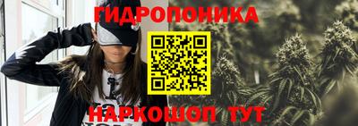 гидра Камышлов