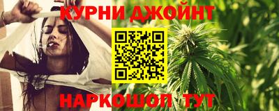 гидра Камышлов