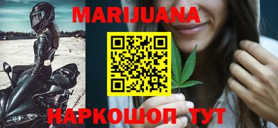 гидра Камышлов
