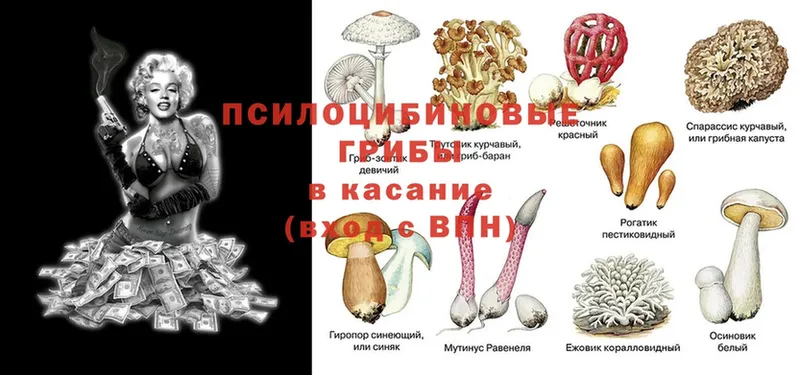 Галлюциногенные грибы мухоморы  Череповец 