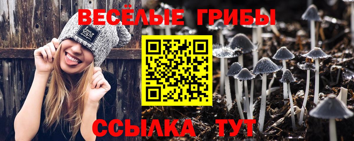 Череповец  Псилоцибиновые грибы мицелий  Вход с VPN 