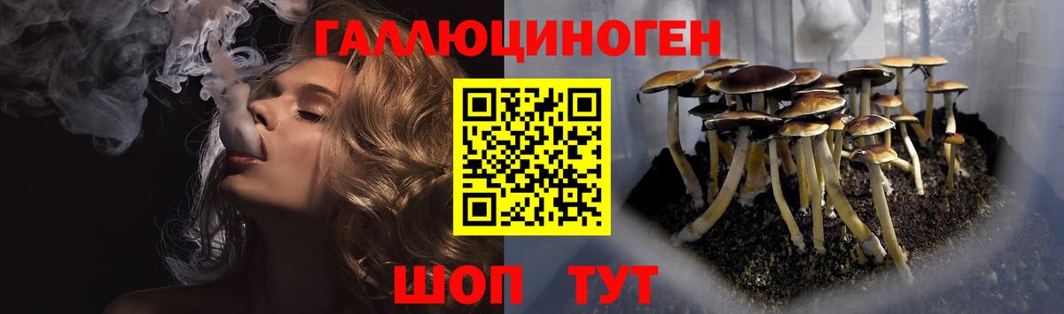 Псилоцибиновые грибы Psilocybine cubensis Череповец